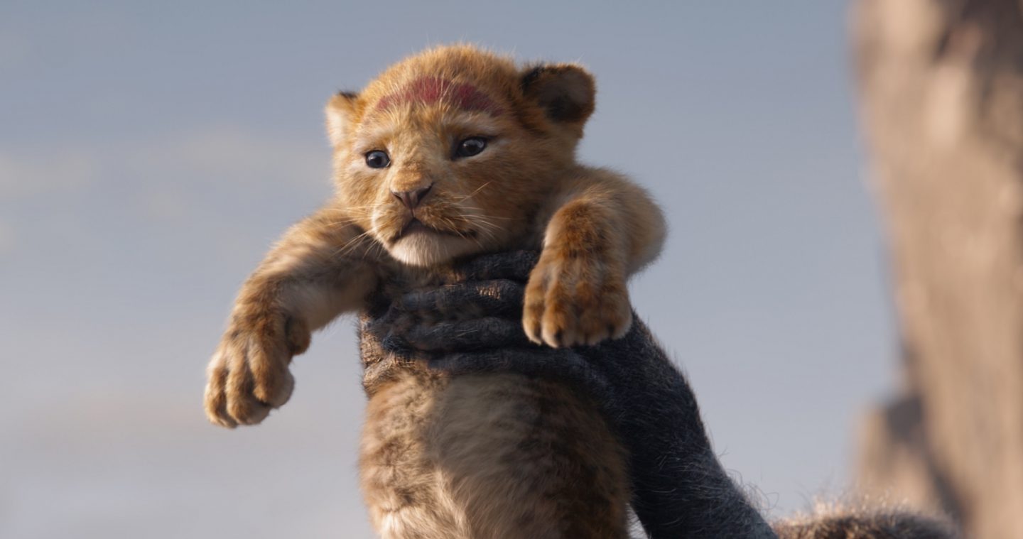 子シンバめっかわ!リアルを超えた圧倒的な映像美が心を揺さぶる“超”実写版『ライオン・キング』
