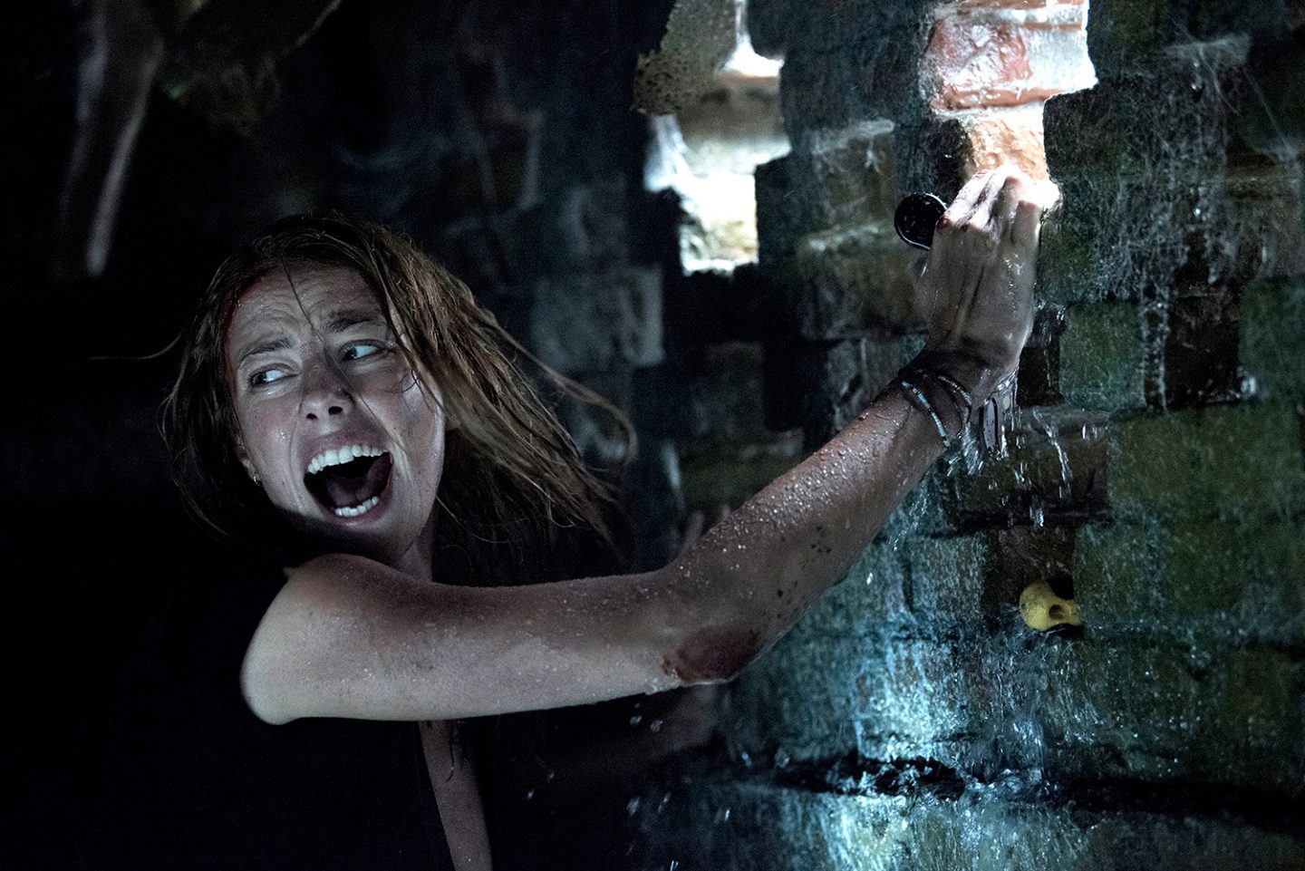 ワニが大量発生‼『クロール -凶暴領域-』はサメ映画における『ジョーズ』に匹敵するワニ映画の“金字塔”となるか!?